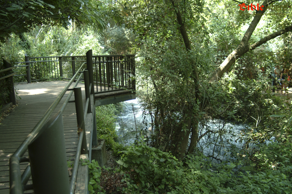 Nahal Dan stream. (Photo: S. Magal)